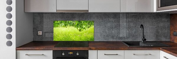 Dekorační panel sklo zelená louka pksh-78819198