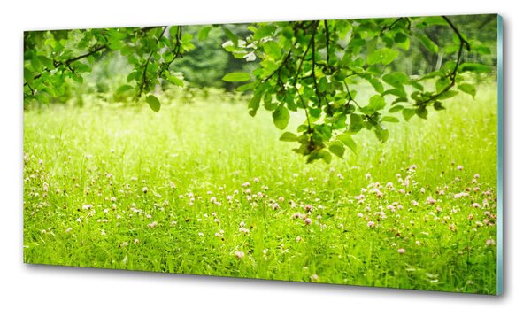 Dekorační panel sklo zelená louka pksh-78819198