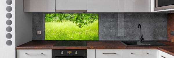 Dekorační panel sklo zelená louka pksh-78819198