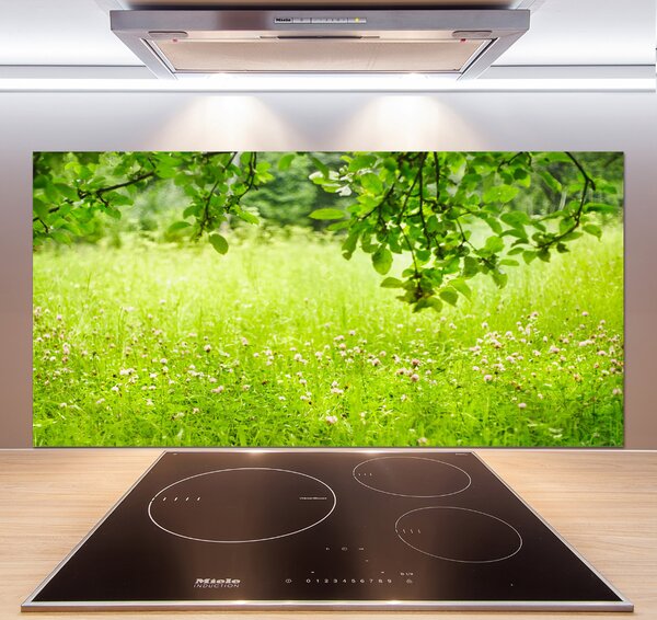 Dekorační panel sklo zelená louka pksh-78819198
