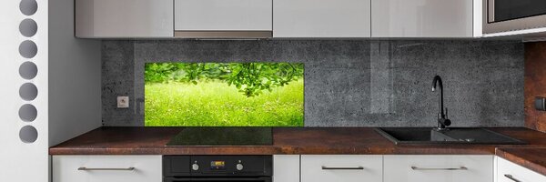 Dekorační panel sklo zelená louka pksh-78819198