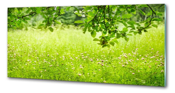 Dekorační panel sklo zelená louka pksh-78819198