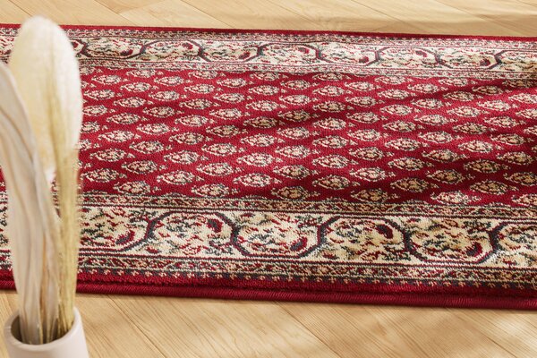 Běhoun Agnella Optimal Oset Bordo Šíře: 100 cm