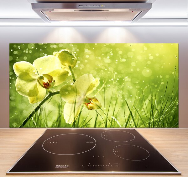 Skleněný panel do kuchynské linky Orchidej pksh-79420642