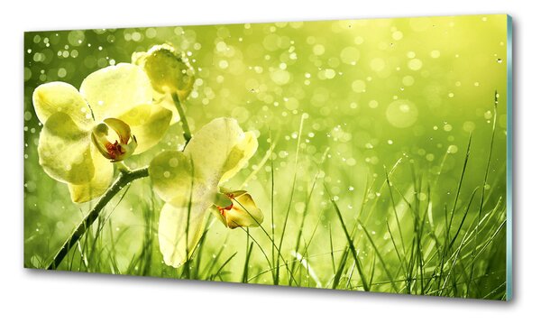 Skleněný panel do kuchynské linky Orchidej pksh-79420642