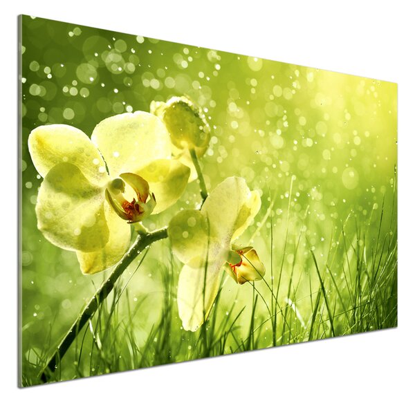Skleněný panel do kuchynské linky Orchidej pksh-79420642