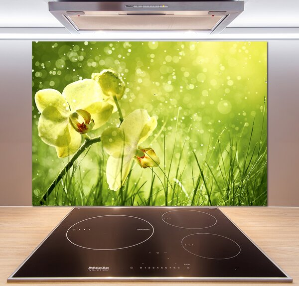 Skleněný panel do kuchynské linky Orchidej pksh-79420642
