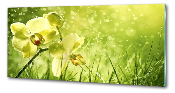 Skleněný panel do kuchynské linky Orchidej pksh-79420642