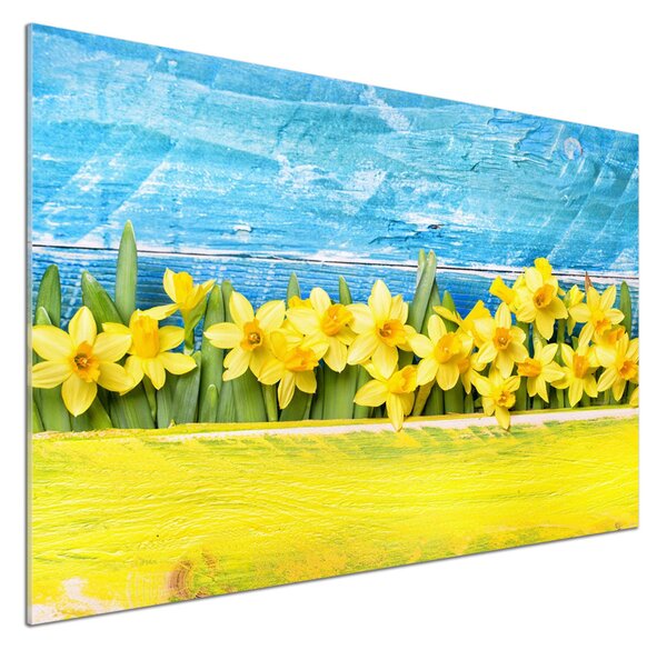 Skleněný panel do kuchyně Narcisy pksh-79578673