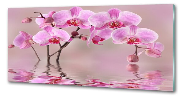 Panel do kuchyně Růžová orchidej pksh-79883275