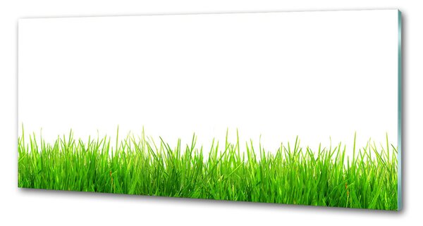 Skleněný panel do kuchyně Tráva pksh-79948941