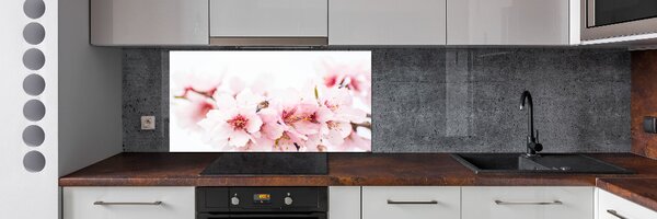 Dekorační panel sklo Květy višně pksh-79943111