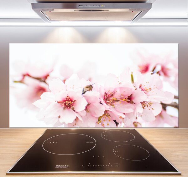 Dekorační panel sklo Květy višně pksh-79943111