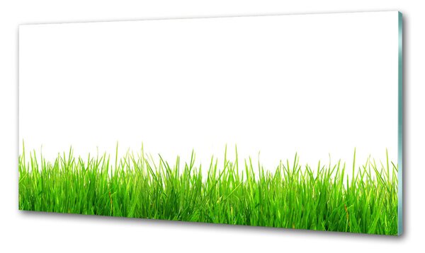 Skleněný panel do kuchyně Tráva pksh-79948941