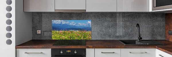 Panel do kuchyně Louka v horách pksh-80010244