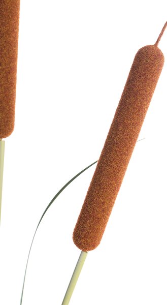 Umělá rostlina BULRUSH 135 cm Zelená