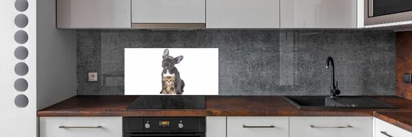 Dekorační panel sklo Pes a kočka pksh-80558737