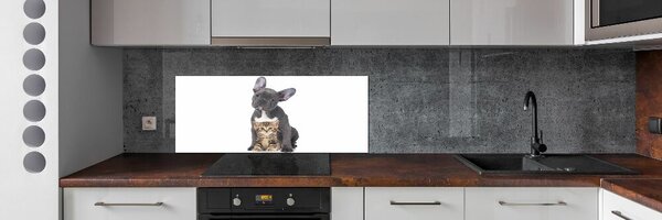 Dekorační panel sklo Pes a kočka pksh-80558737