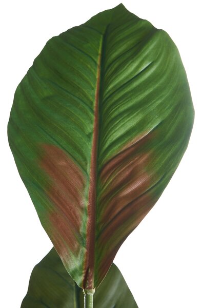 Umělá rostlina PURPURATA 130 cm Červená