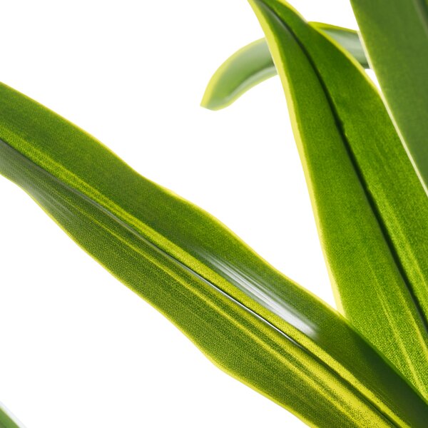 Umělá rostlina DRACAENA TREE 150 cm Zelená