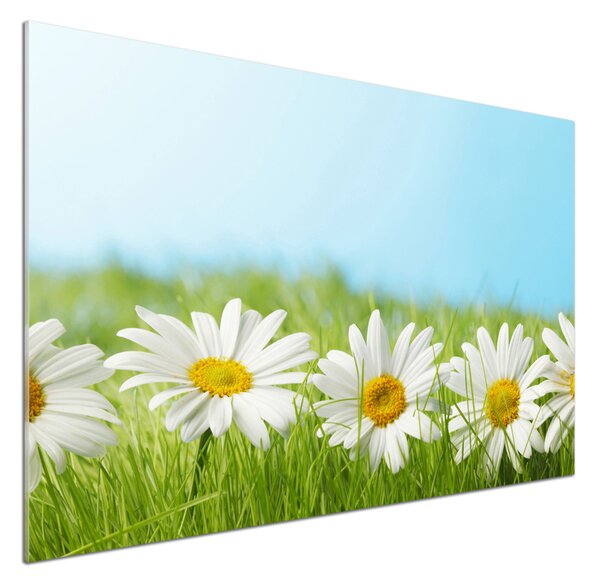 Skleněný panel do kuchynské linky Sedmikrásky pksh-81022704