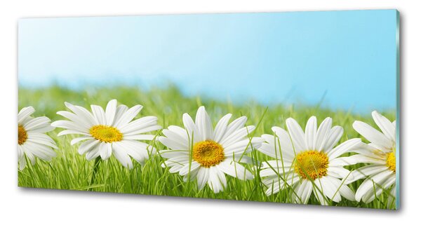 Skleněný panel do kuchynské linky Sedmikrásky pksh-81022704