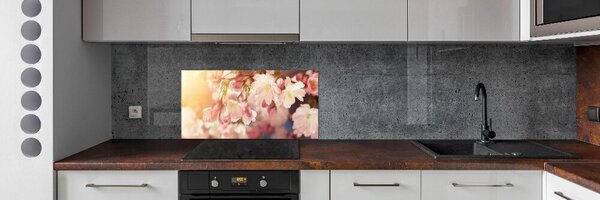 Dekorační panel sklo Květy višně pksh-81037561