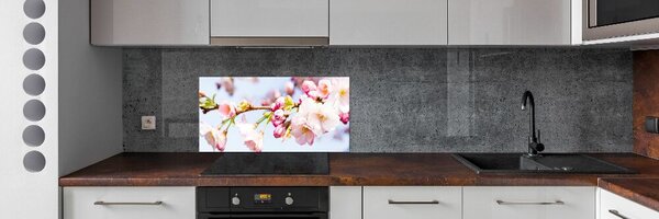 Dekorační panel sklo Květy višně pksh-81280422