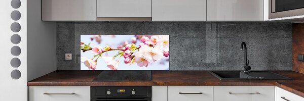 Dekorační panel sklo Květy višně pksh-81280422