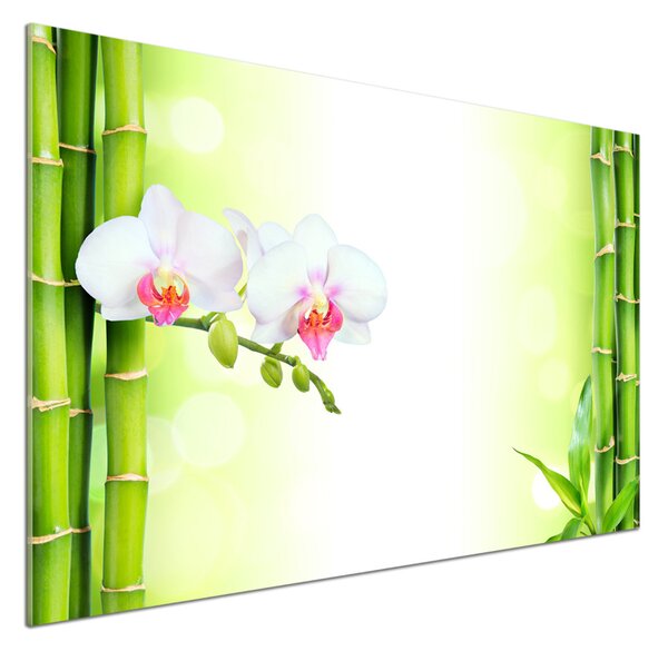 Panel do kuchyně Orchidej a bambus pksh-82165838