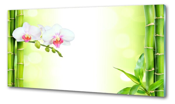 Panel do kuchyně Orchidej a bambus pksh-82165838