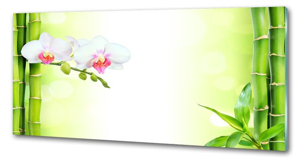 Panel do kuchyně Orchidej a bambus pksh-82165838