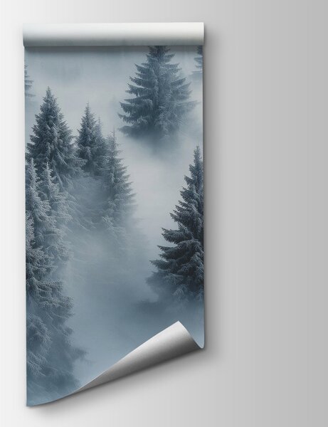 Fototapeta Skupina stromů pokrytých sněhem, Přírodní fototapety, Populární fototapety, w02064 - Tapeko.co.cz