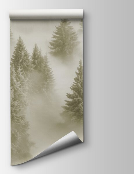 Fototapeta Skupina stromů v mlze, Přírodní fototapety, Populární fototapety, w02064v2 - Tapeko.co.cz