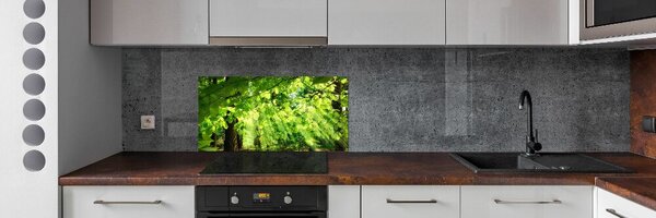 Dekorační panel sklo Listí buku pksh-82554277