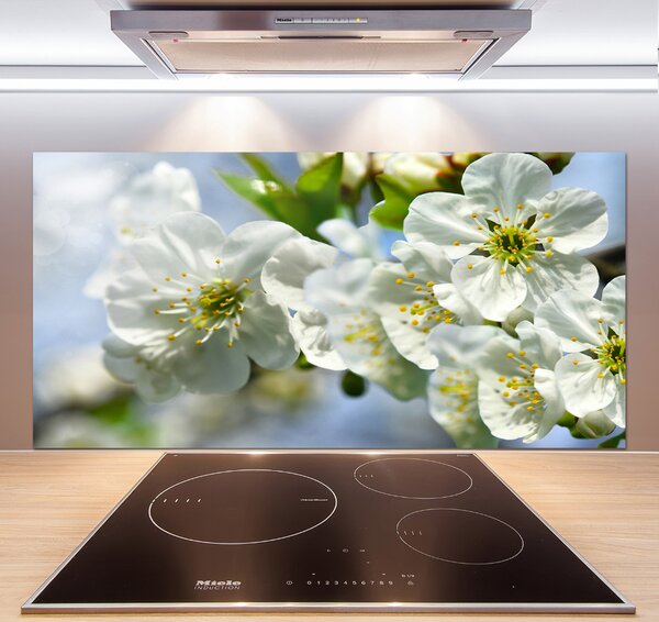 Dekorační panel sklo Květ višně pksh-82566454