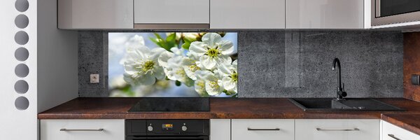 Dekorační panel sklo Květ višně pksh-82566454