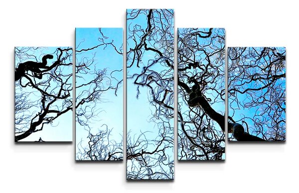 Sablio Obraz - 5-dílný Holé větve - 125x90 cm