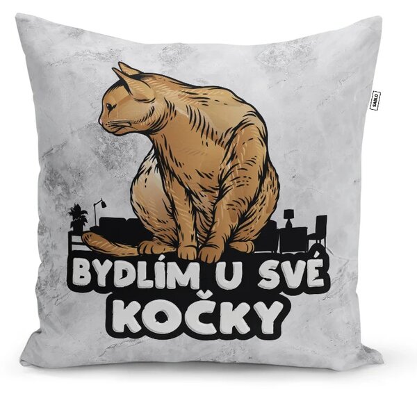 Sablio Polštář Bydlím u své kočky: 40x40 cm