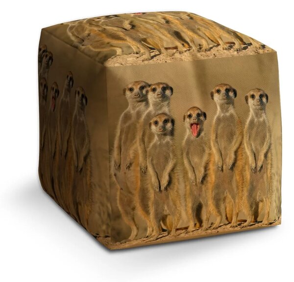Sablio Taburet Cube Surikaty - 40x40x40 cm