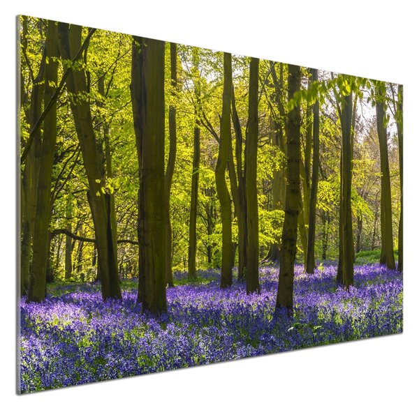 Dekorační panel sklo Les jaro pksh-82879966