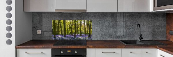 Dekorační panel sklo Les jaro pksh-82879966