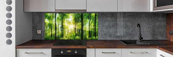 Dekorační panel sklo Les slunce pksh-82972458