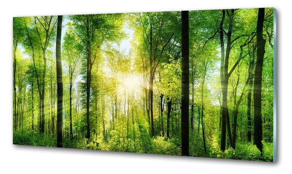 Dekorační panel sklo Les slunce pksh-82972458
