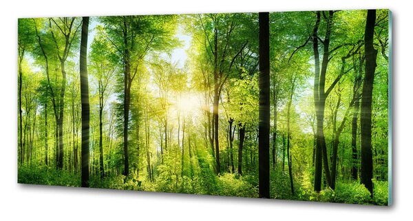 Dekorační panel sklo Les slunce pksh-82972458