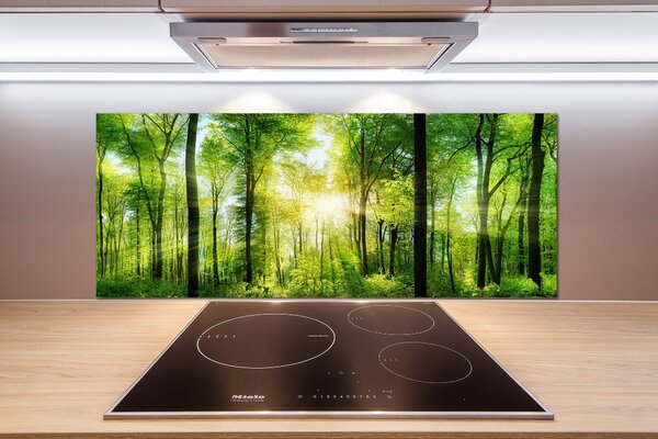 Dekorační panel sklo Les slunce pksh-82972458