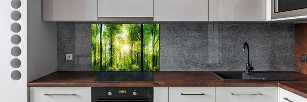 Dekorační panel sklo Les slunce pksh-82972458