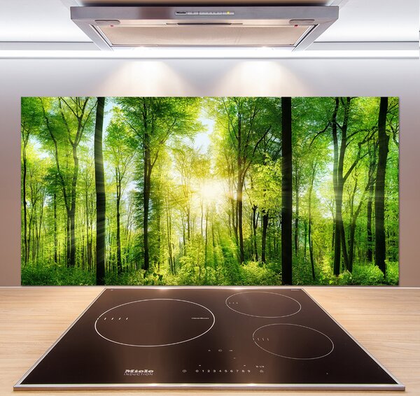 Dekorační panel sklo Les slunce pksh-82972458