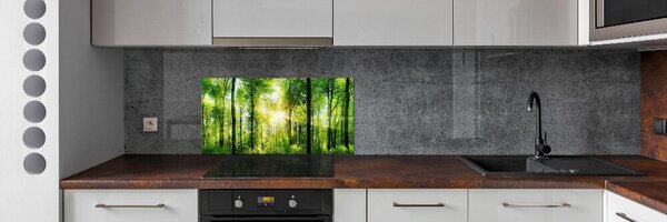Dekorační panel sklo Les slunce pksh-82972458