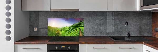 Panel do kuchyně Čajová plantáž pksh-83004057